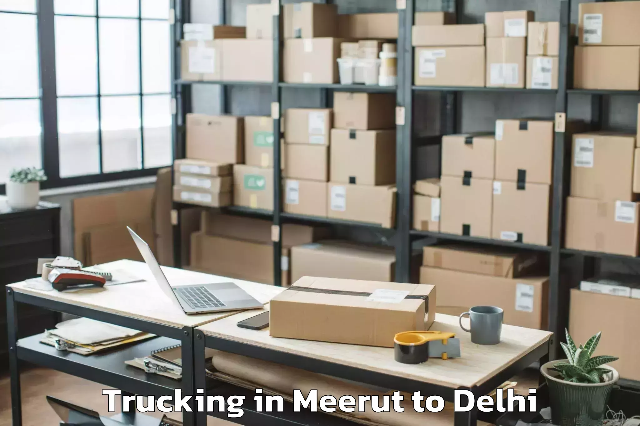 Expert Meerut to Parsvnath Mall Azadpur Trucking